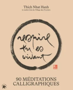 90 méditations calligraphiques du maître Zen Thich Nhat Hanh