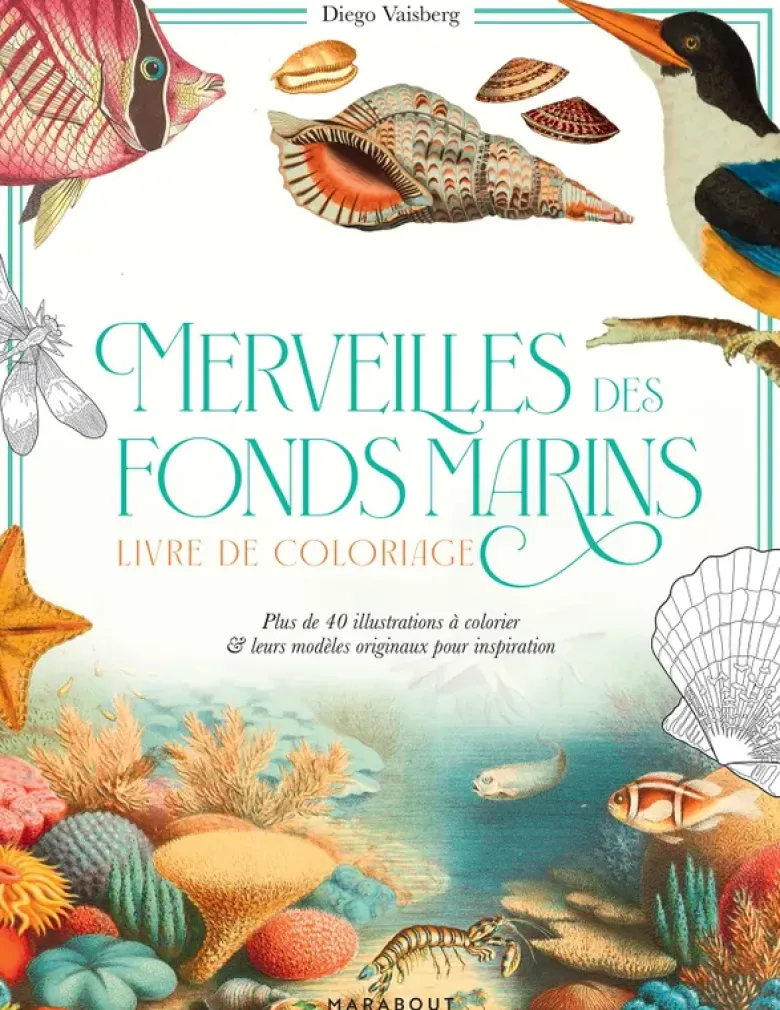 Merveilles des fonds marins
