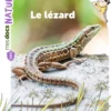 Mes docs natureLe lézard