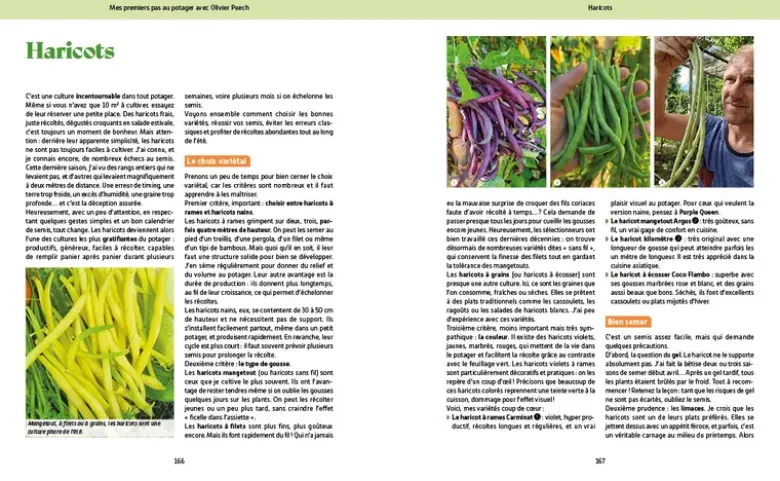 Mes premiers pas au potager avec Olivier Puech