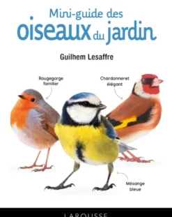 Mini-guide des oiseaux du jardin