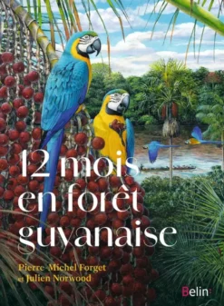 12 mois en forêt guyanaise