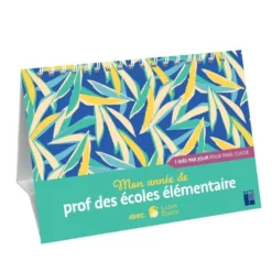 Mon année de prof d'élémentaire avec Lutin Bazar