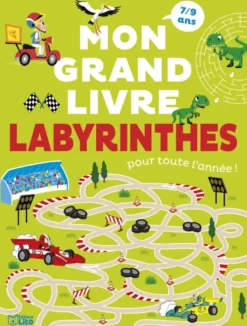 Mon grand livre labyrinthe pour toute l'année !