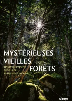 Mystérieuses vieilles forêts - Un voyage immersif au coeur des écosystèmes préservés