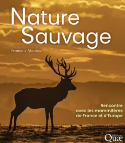 Nature sauvage