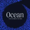 Ocean : From the Shore to the Abyss /anglais