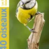 440 oiseaux