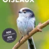 Oiseaux