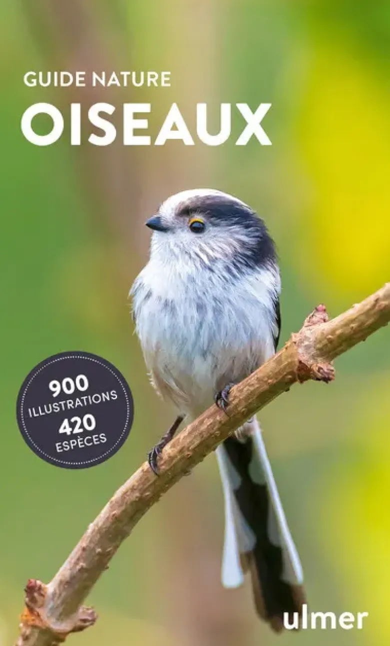Oiseaux