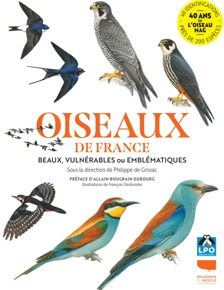 Oiseaux de France