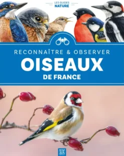 Oiseaux de France