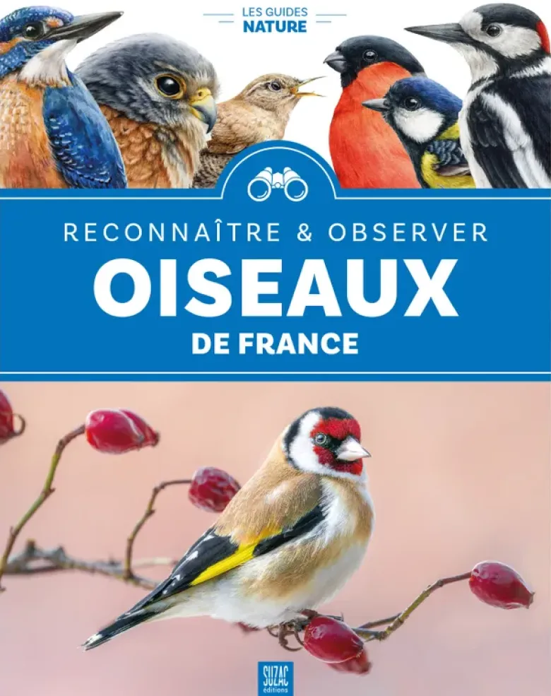 Oiseaux de France