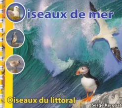 Oiseaux de mer