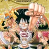 One piece Je comprends ce que vous ressentez