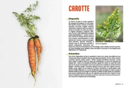 Panique au potager