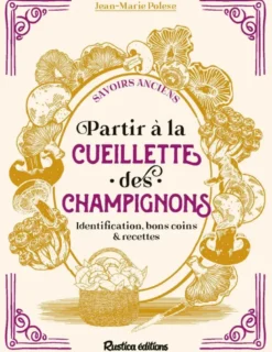 Partir à la cueillette des champignons