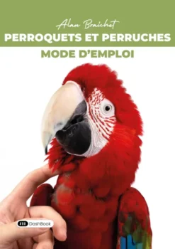Perroquets et perruches : Mode d'emploi