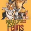Petits et grands félins