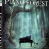 Piano Forest - (2007) DVD