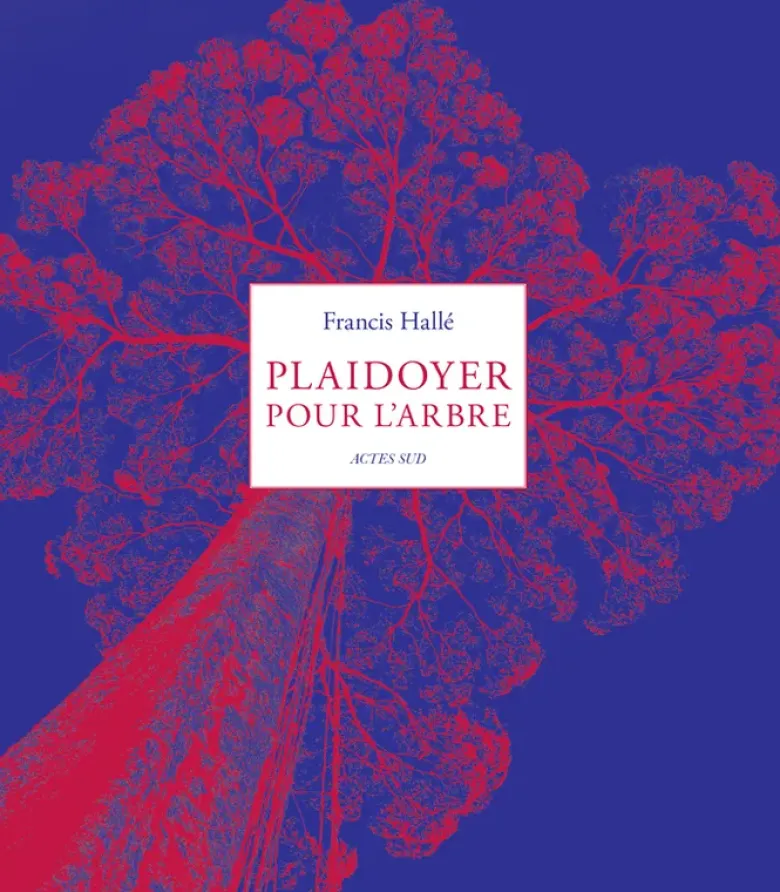 Plaidoyer pour l'arbre
