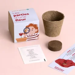 Plante et découvre: Les parties d’une fleur