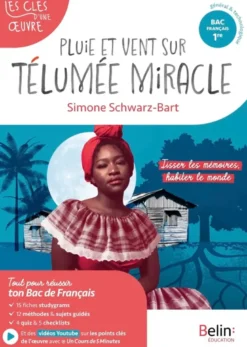 Pluie et vent sur Télumée miracle