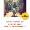 Pluie et vent sur Télumée Miracle - Edition pédagogique