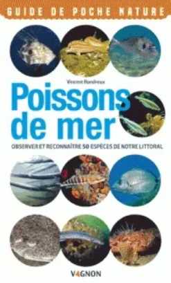 Poissons de mer