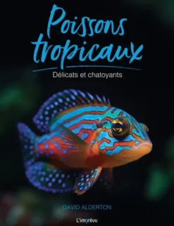 Poissons tropicaux