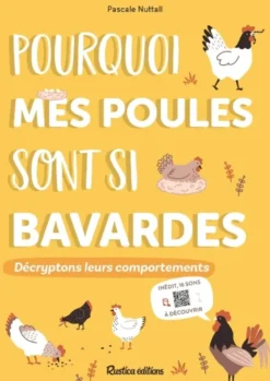 Pourquoi mes poules sont si bavardes