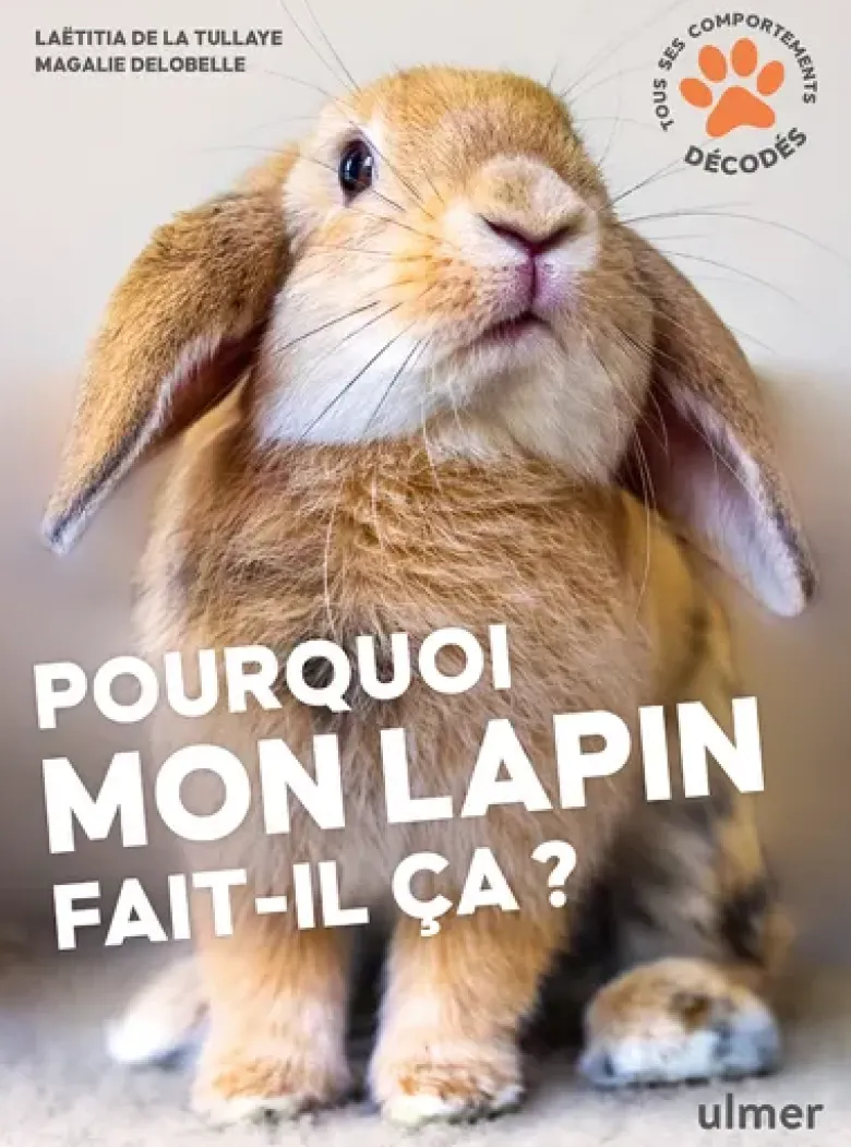 Pourquoi mon lapin fait-il ça ?