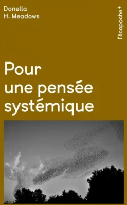 Pour une pensée systémique
