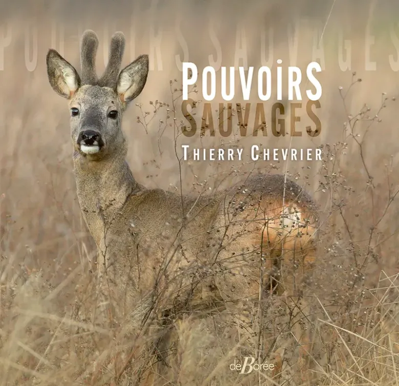 Pouvoirs sauvages