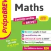Prépabrevet - Maths 3e - Brevet 2027