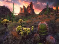 Puzzle Cactus Epines 500 Pièces