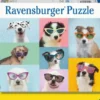 Puzzle Chiens rigolos
