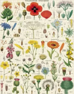 Puzzle Fleurs sauvages - 1000 pièces