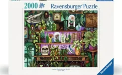 Puzzle Inventaires de Sorcières2000 Pièces
