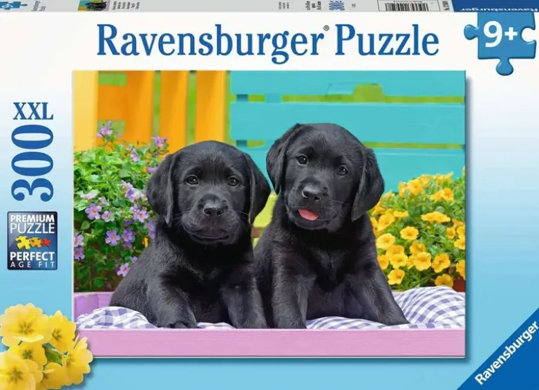 Puzzle Labradors noirs