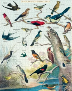 Puzzle Oiseaux