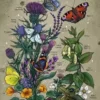 Puzzle Vie d'un Papillon