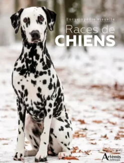 Races de chiens