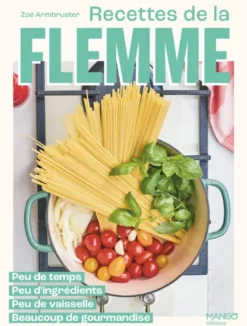 Recettes de la flemme
