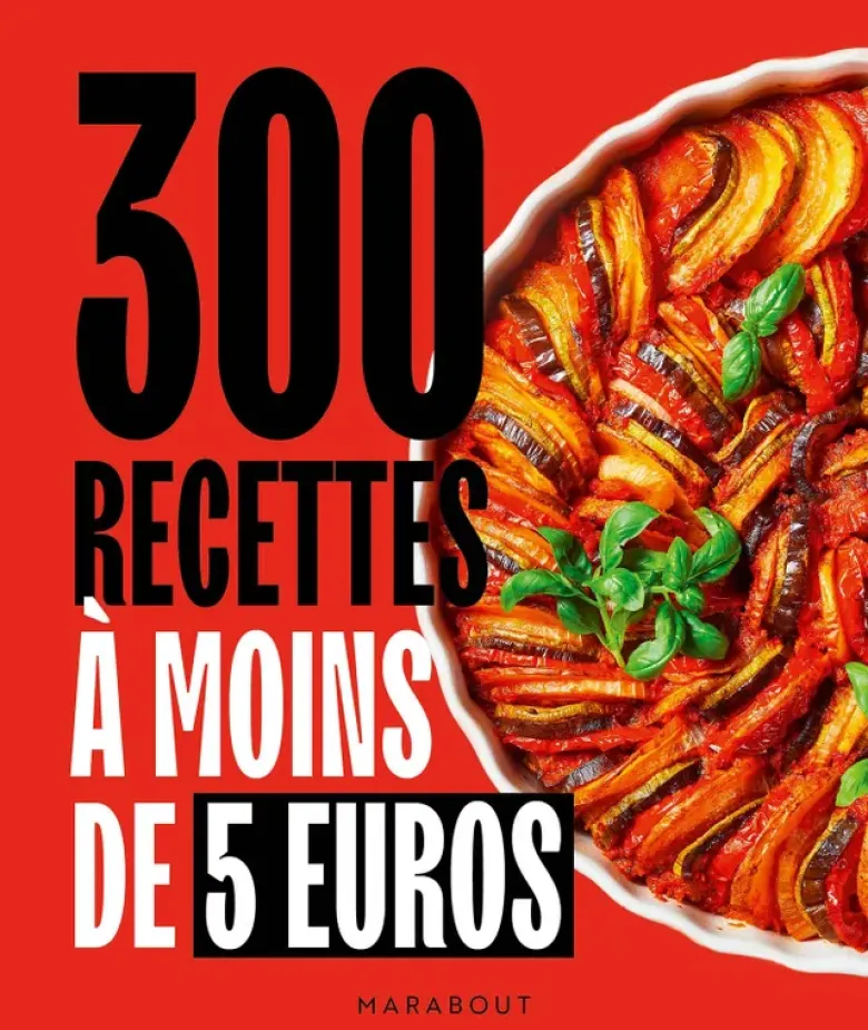 300 recettes à moins de 5 euros