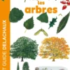 Reconnaître facilement les arbres