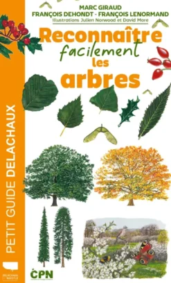 Reconnaître facilement les arbres