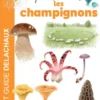 Reconnaître facilement les champignons