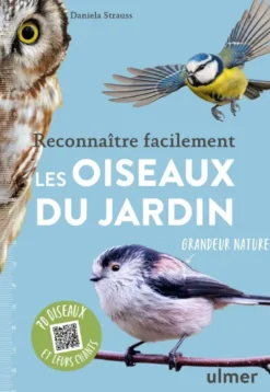 Reconnaître facilement les oiseaux du jardin