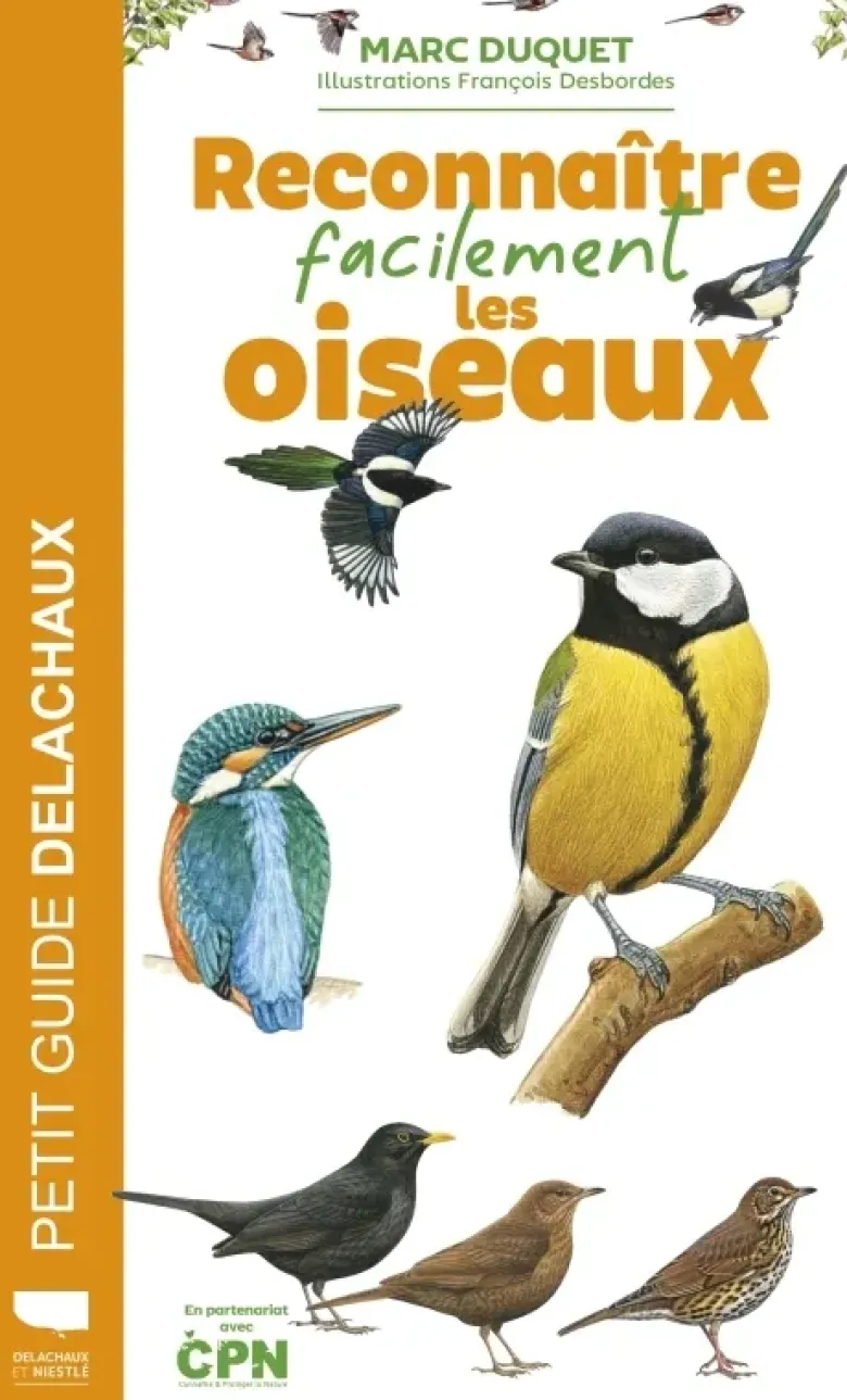 Reconnaître facilement les oiseaux